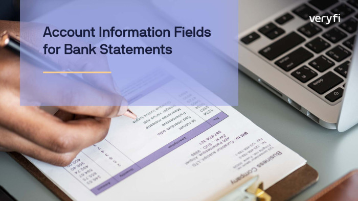 Bank Statements ►Account Information Fields