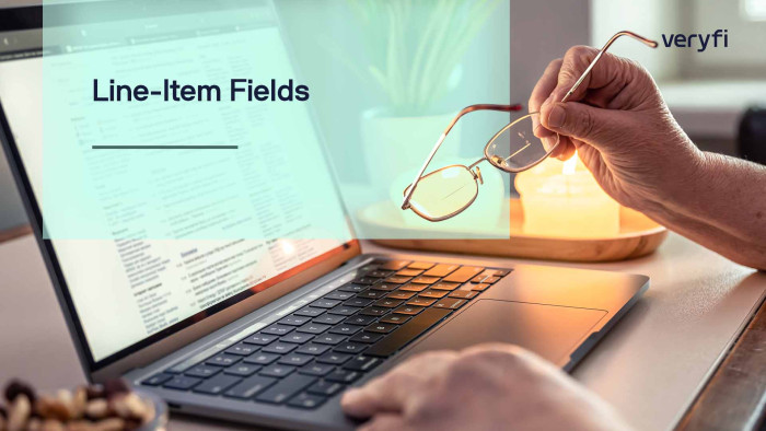 Line-Item Fields