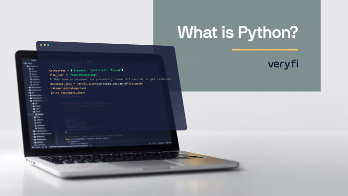 What is Python?